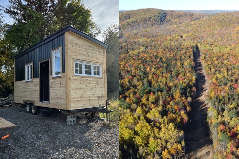 Mini-maison édition chasse - Condo Forestier.